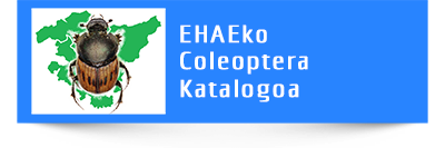 EHAE-ko coleoptera katalogoa